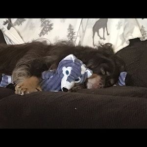 Meet your Posher, Mark